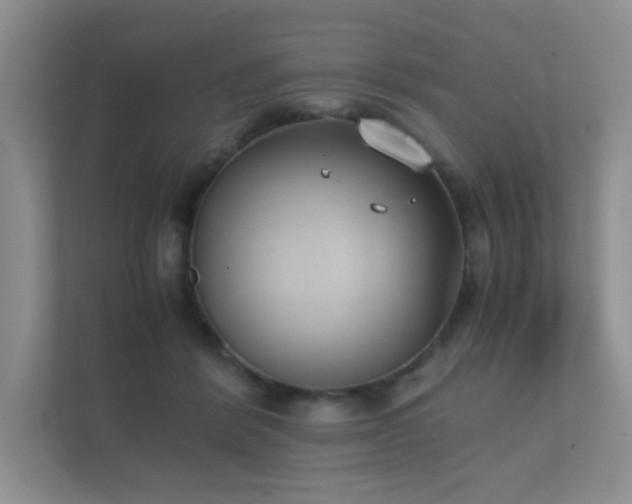 X0000112170412200908141309