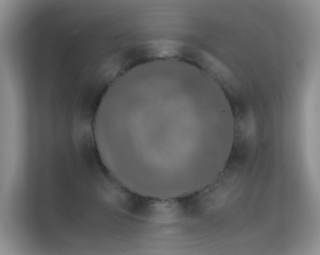 X0000112170415200908141309