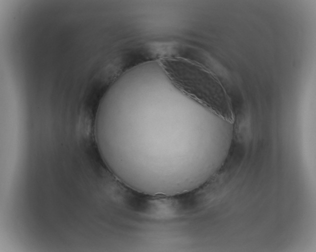 X0000112170417200908141309