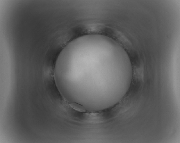 X0000112170419200908141309