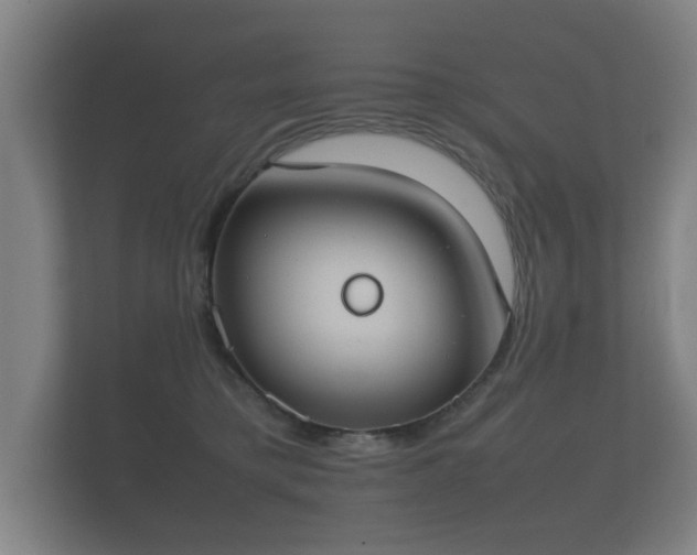 X0000112170421200908141309