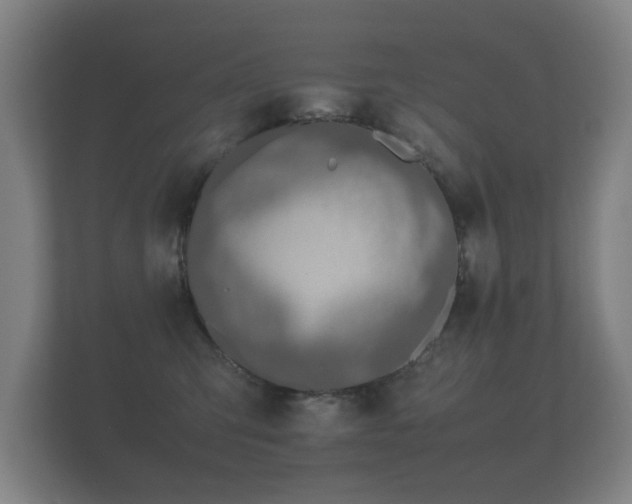 X0000112170423200908141309