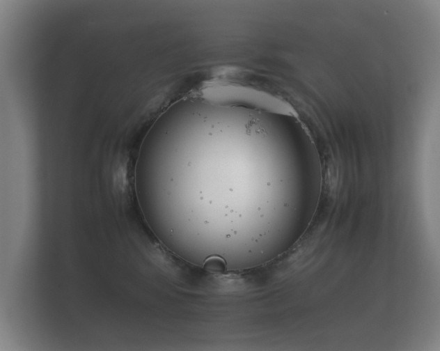 X0000112170424200908141309