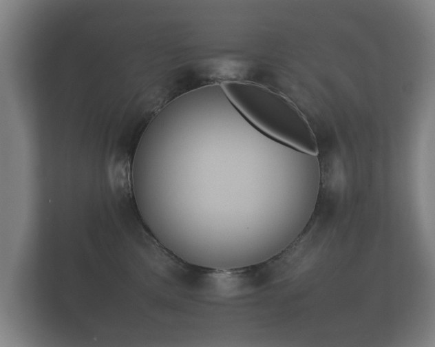 X0000112170425200908141309