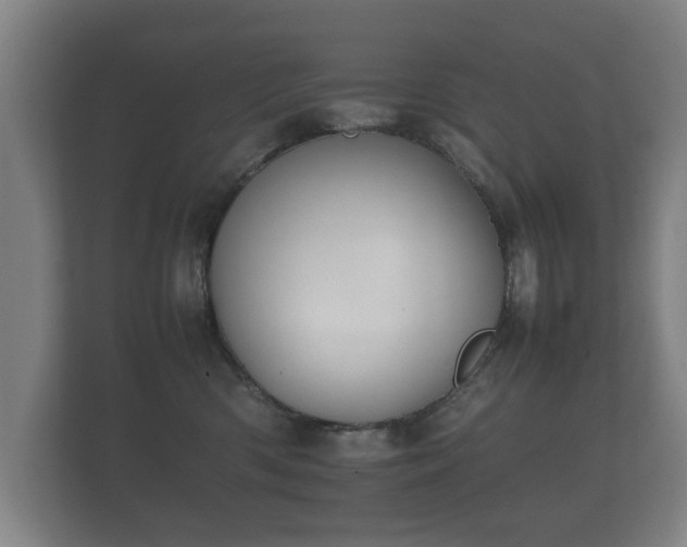 X0000112170426200908141309