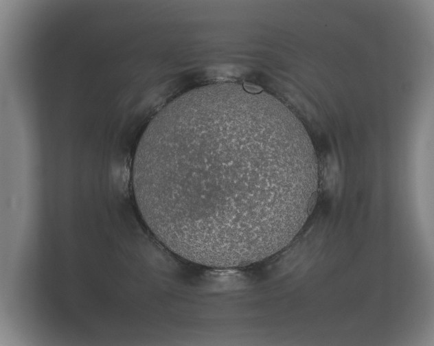 X0000112170427200908141309