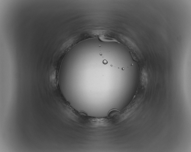 X0000112170428200908141309