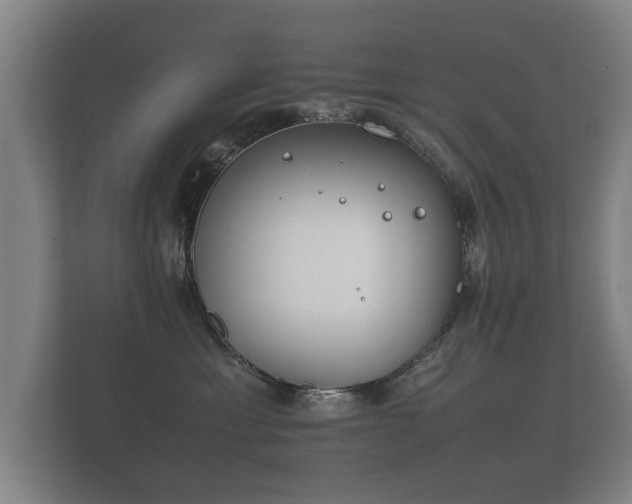 X0000112170429200908141309