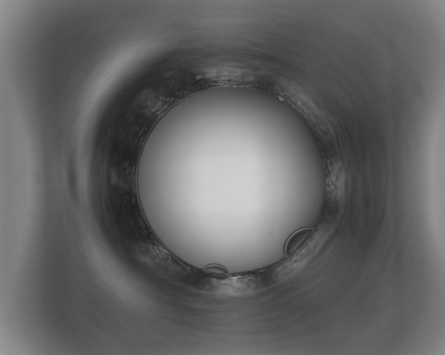 X0000112170430200908141309