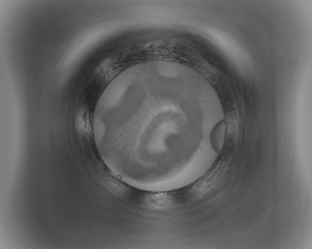 X0000112170431200908141309