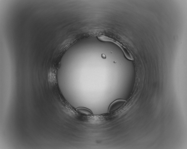 X0000112170432200908141309