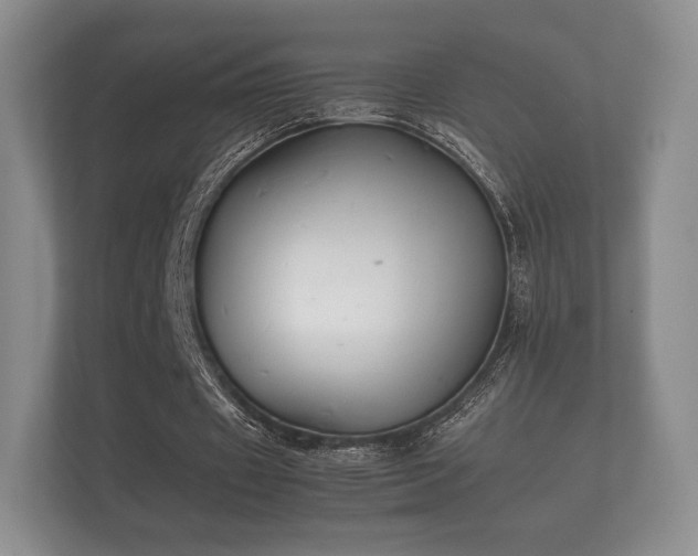 X0000112170433200908141309