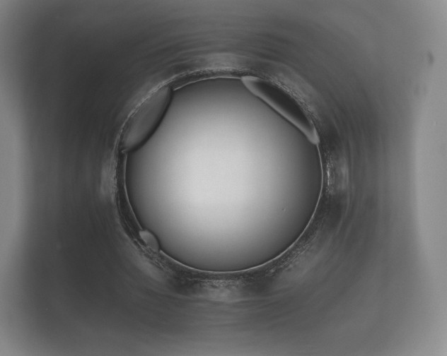 X0000112170436200908141309