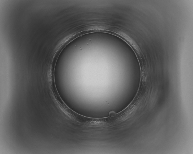 X0000112170437200908141309