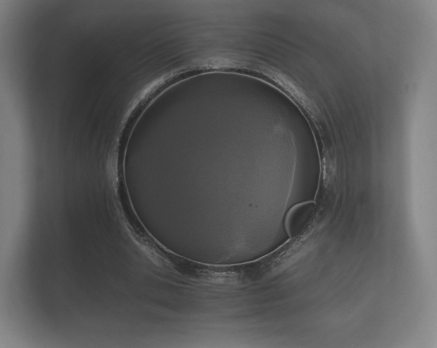 X0000112170438200908141309