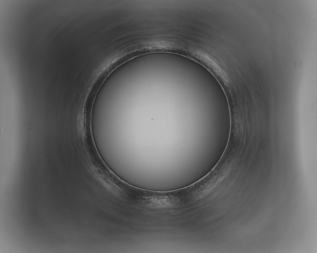 X0000112170439200908141309