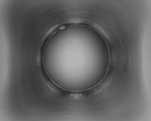 X0000112170440200908141309