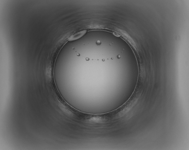 X0000112170441200908141309