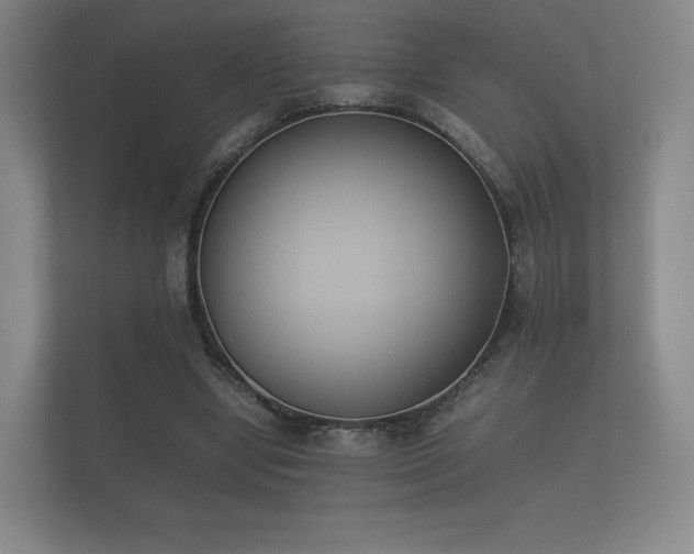 X0000112170442200908141309