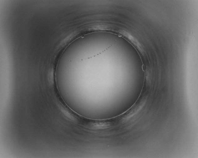 X0000112170445200908141309