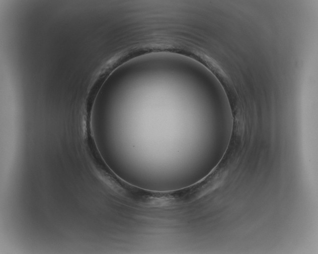 X0000112170446200908141309