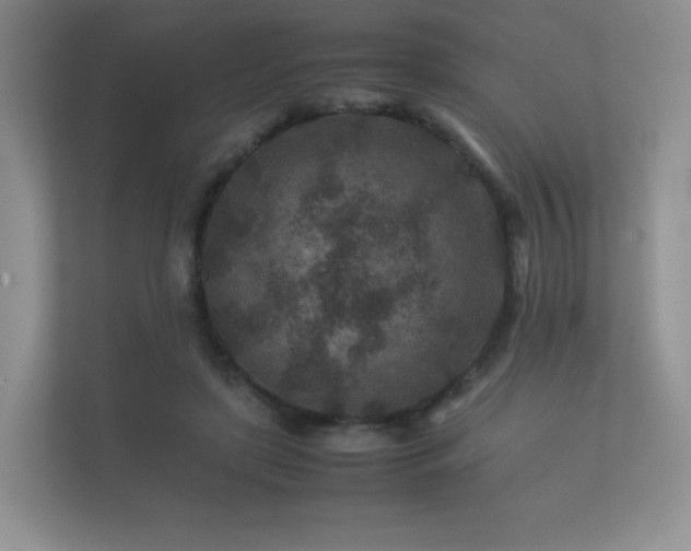 X0000112170451200908141309