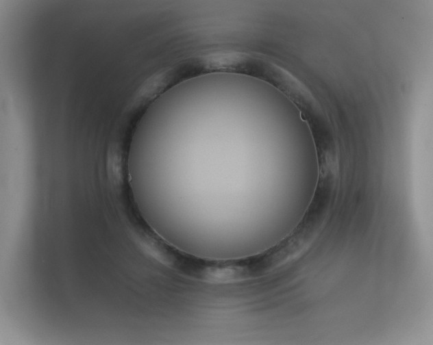 X0000112170452200908141309