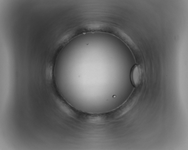 X0000112170454200908141309