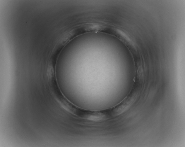 X0000112170459200908141309