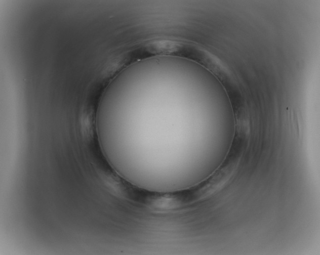 X0000112170460200908141309