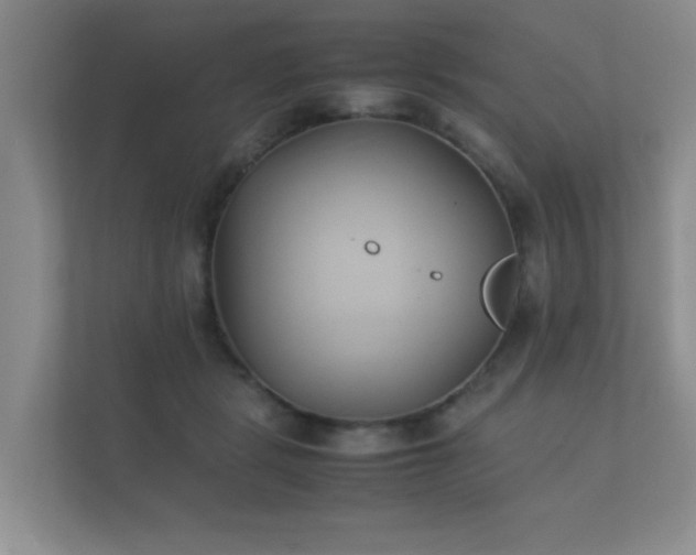 X0000112170461200908141309