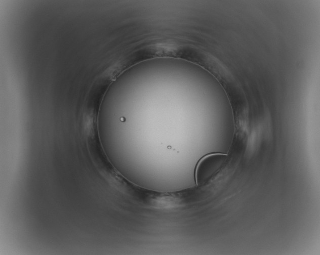 X0000112170468200908141309