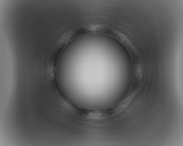 X0000112170470200908141309