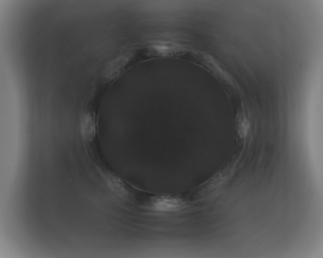 X0000112170471200908141309