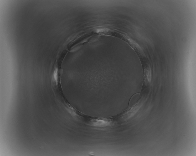 X0000112170475200908141309