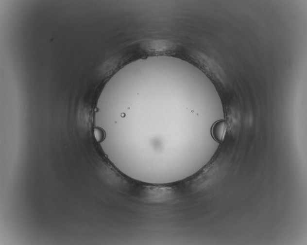 X0000112170476200908141309