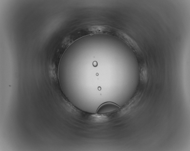 X0000112170477200908141309