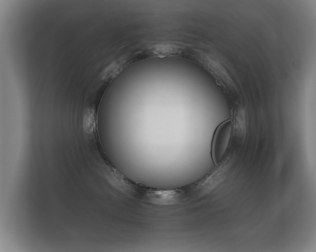 X0000112170478200908141309