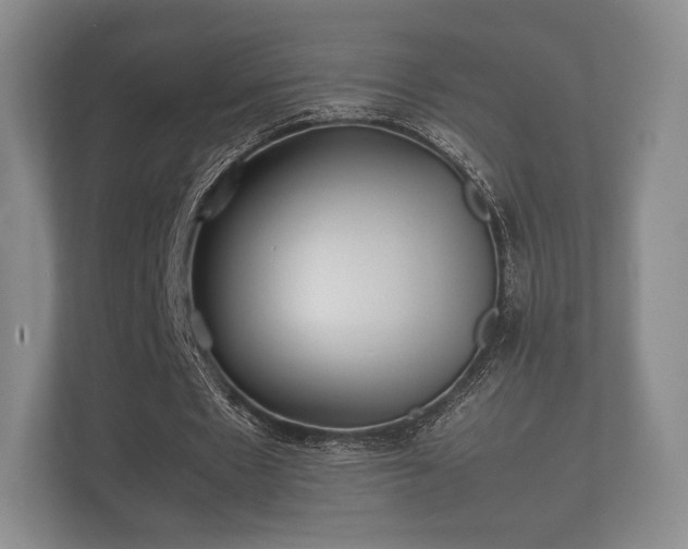 X0000112170481200908141309