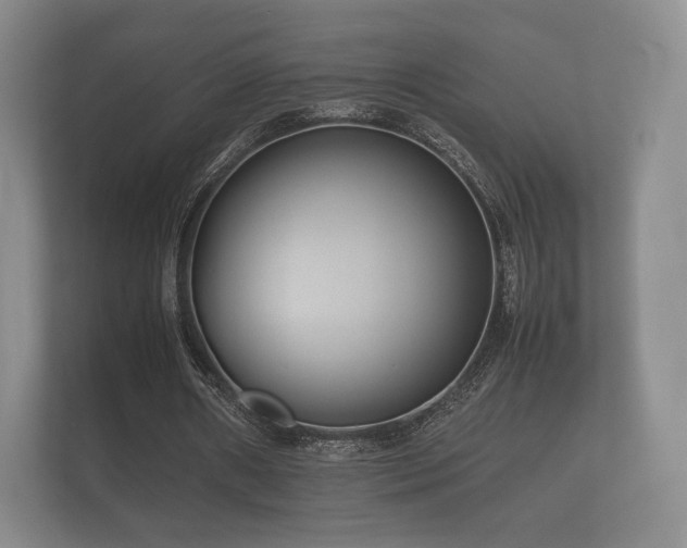 X0000112170482200908141309