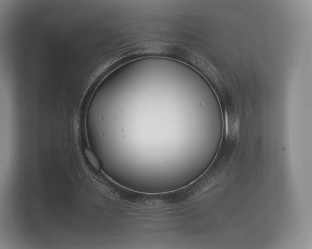 X0000112170483200908141309