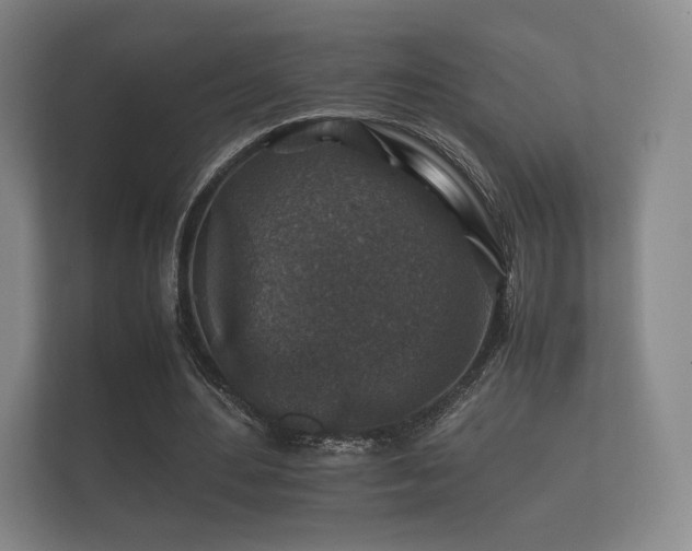 X0000112170484200908141309