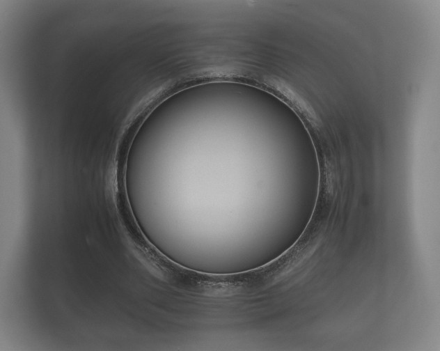 X0000112170486200908141309