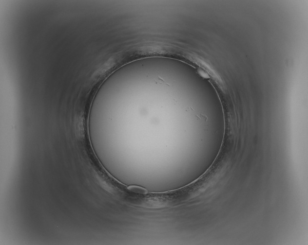 X0000112170489200908141308