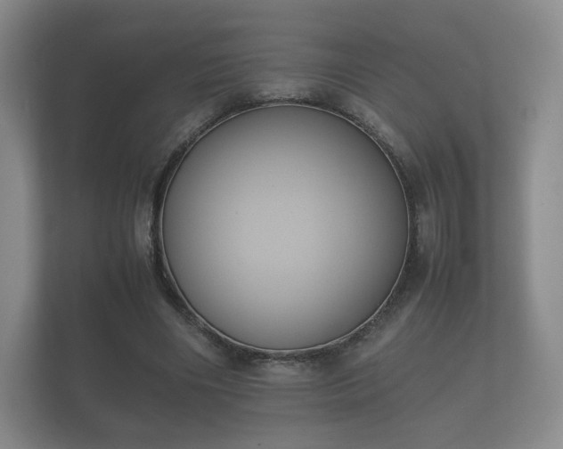 X0000112170490200908141308