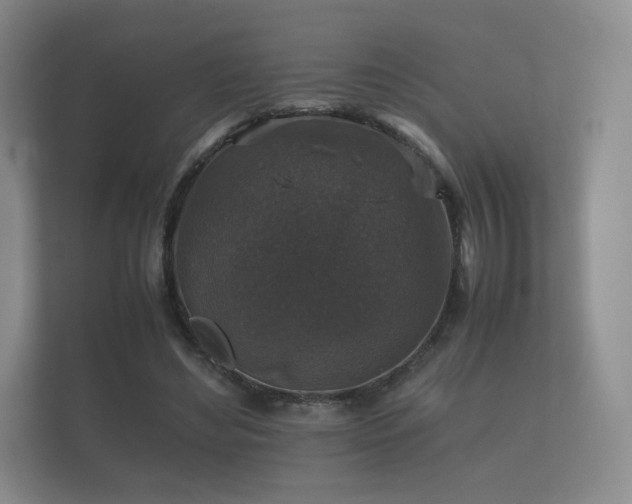 X0000112170492200908141308