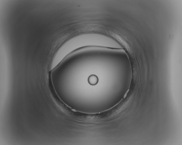 X0000112170493200908141308