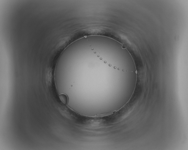 X0000112170495200908141308