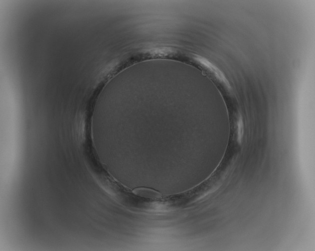 X0000112170496200908141308