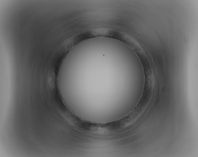 X0000112170498200908141308